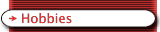 Hobbies